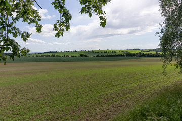 Summer landscape with trees, fields and hills. Saxony. Germany