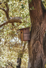 Birdhouse