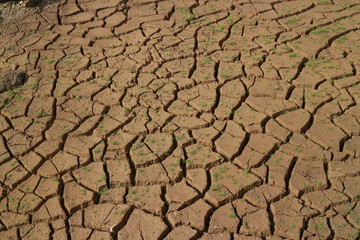 dry cracked earth