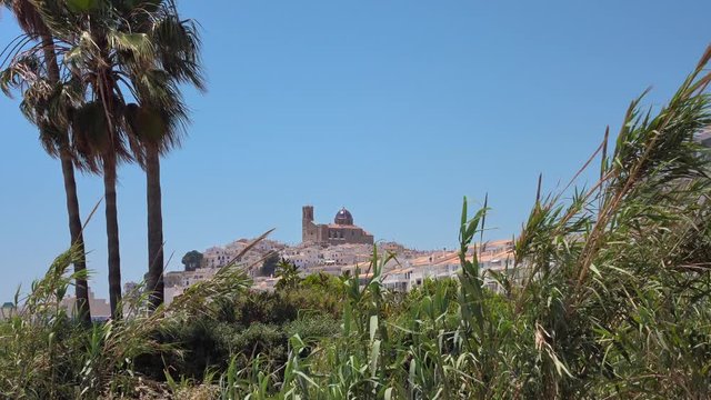 Blue dome church of the Mediterranean coastal town of Altea in Spain seen through a bush of giant reed (arundo donax), some other plants and a few palm trees with a clear blue sky in the background.