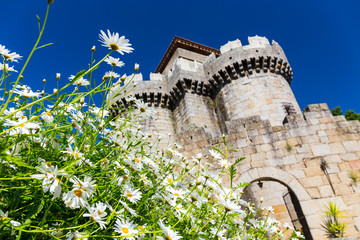 Castle of Granadilla, Granadilla, Ambroz Valley, Cáceres, Extremadura, Spain, Europe