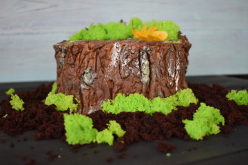 cake, gtym, chocolate cake, Cake stump