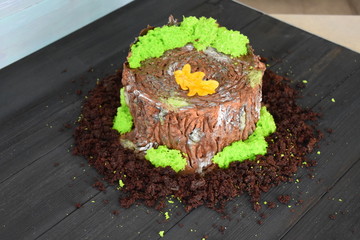 cake, gtym, chocolate cake, Cake stump