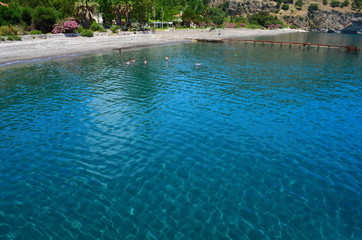 Fototapeta premium amazing crystal clear water of the Aegean sea