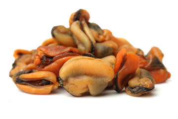 Dry Mussel on white background 