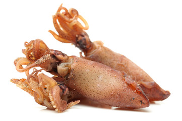 Dried squid on white background 