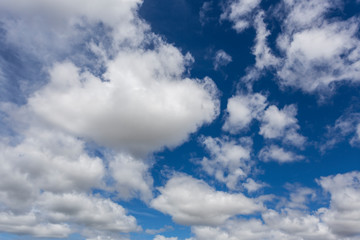 Obraz premium clouds in the blue sky