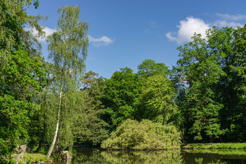 Small lake in the park in sunshine with reflections in the water