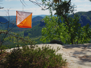 . Orienteering white orange flag in forest within local run