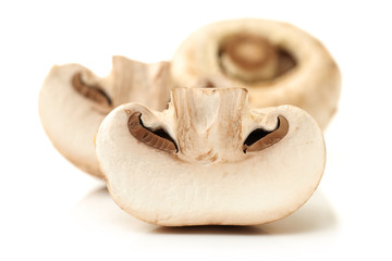 Fototapeta premium White mushrooms