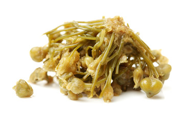 Chinese chive flower on white background