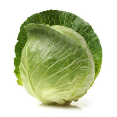 Fototapeta premium cabbage on white background
