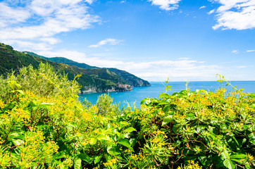 Costa - Cinque terre
