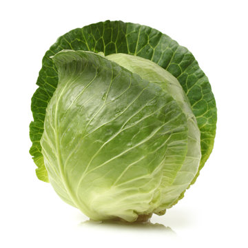  cabbage on white background