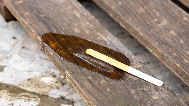 reverse time lapse of orange popsicle melting. 4K Video