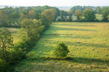 Areal view of a meadow surrounded by treelines in a Dutch nature reserve. Onlanden, Groningen.