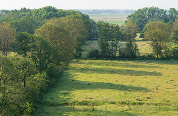 Fototapeta na wymiar Areal view of a meadow surrounded by treelines in a Dutch nature reserve. Onlanden, Groningen.