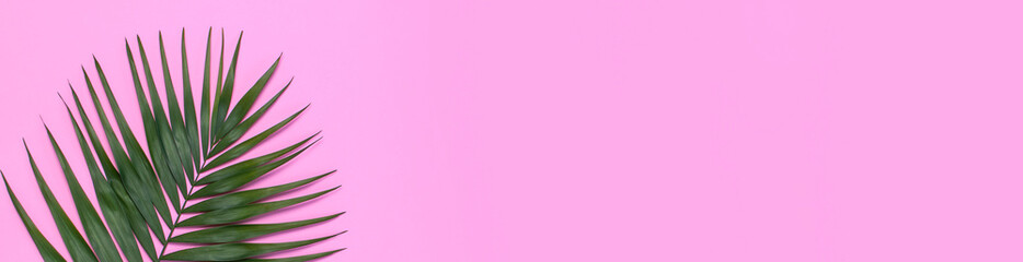 Tropical palm leaves on pastel pink background. Flat lay, top view, copy space. Summer background, nature. Creative minimal background with tropical leaves. Leaf pattern