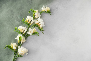 Beautiful freesia flowers on light background