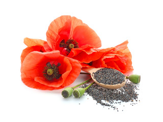 Beautiful red poppy flowers and spoon with seeds on white background