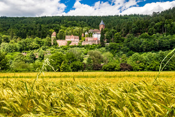 Schloss Zwingenberg mit Weizenfeld