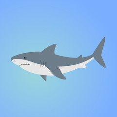 Isolated shark on blue background. Sea animal, fish. Colorful shark in blue ocean.