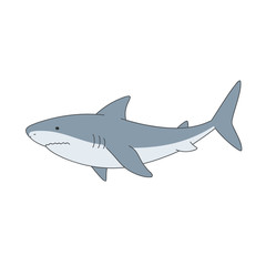 Fototapeta premium Isolated gray shark on white background. Sea animal, fish. Colorful flat shark.