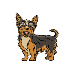 Yorkshire terrier dog - isolated vector illustration - Vector