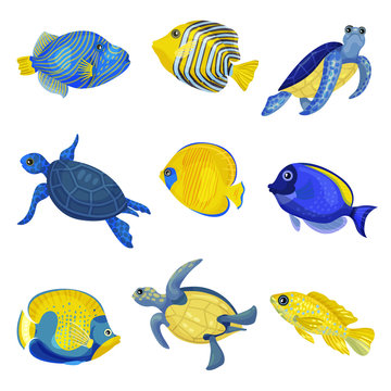 Set of different exotic fishes and turtles. Vector illustration on white background.