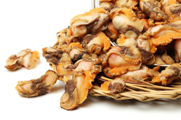 scapharca subcrenata on white background