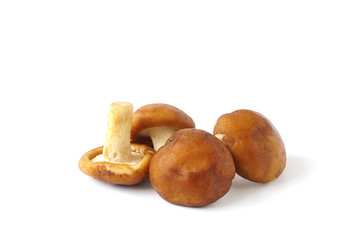 Fresh brown chestnut mushrooms vegetable isolated on white background