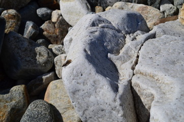 Baikal, beach, summer, nature, stones, mountains, water, forest.