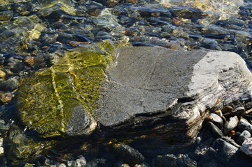 Baikal, beach, summer, nature, stones, mountains, water, forest.