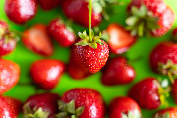 Red ripe berry of strawberry on green Matt background