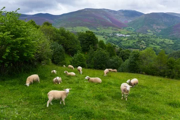 Fototapete Naturpark Fuentes del Narcea, Degaña e Ibias Natural Park, Asturias, Spain, Europe  © JUAN CARLOS MUNOZ