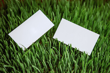 white business card free writing green grass