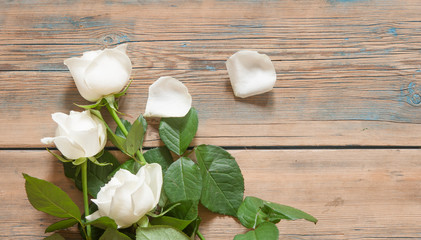 White roses on a old white wooden table