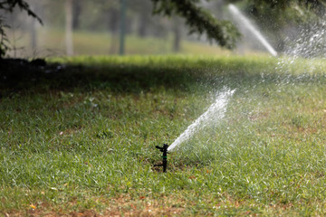Lawn Water Sprinkler Spraying Water Over