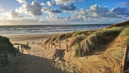 Dunes with marram grass at the beach of Bloemendaal aan Zee, Holland, Netherlands - obrazy, fototapety, plakaty
