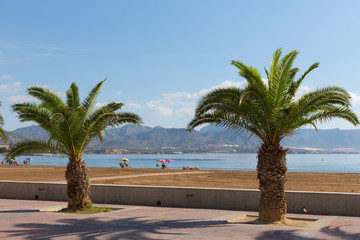 Puerto de Mazarron beach Murcia Spain with palm trees