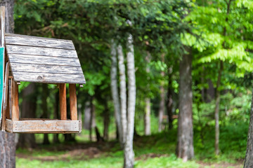 Naklejka premium Wooden feeder for small birds attached to a tree