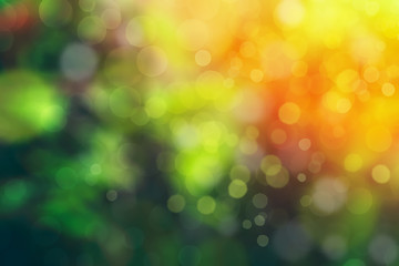 Obraz premium nature green bokeh abstract background and sunshine,there are contrast between deep green and orang light