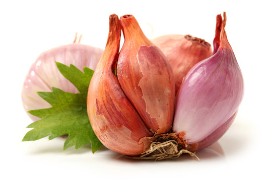 Small red onion on for boarding.Much pommels