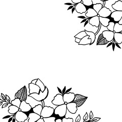 Vector illustration decoration greeting card with elegant flowwer frame