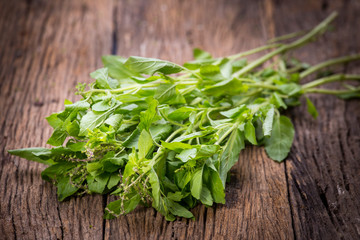 Holy Basil leaves on a wooden table