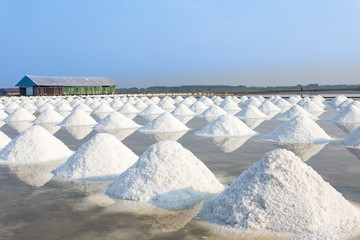 Mass of salt in the salt sea salt farm