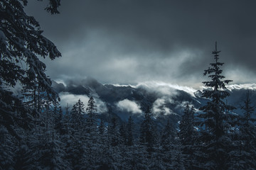 moody winter landscape in the mountains