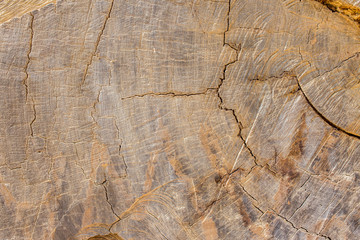 brown wooden texture