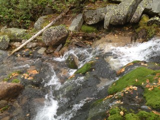 autumn, nature, stones, mountains, water, forest, lingonberry, moss, waterfall