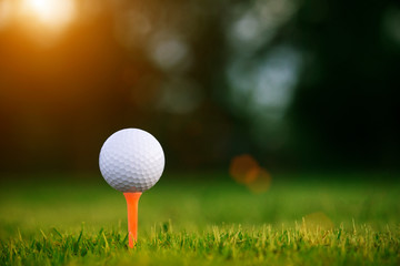 golf ball on tee in a beautiful golf course with morning sunshine